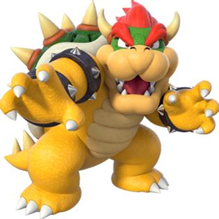 bowser mario bros|why is bowser named.